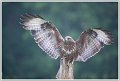 Saint Piat _25-05-2018-08-56-37_0390